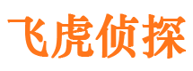 定安市婚外情调查